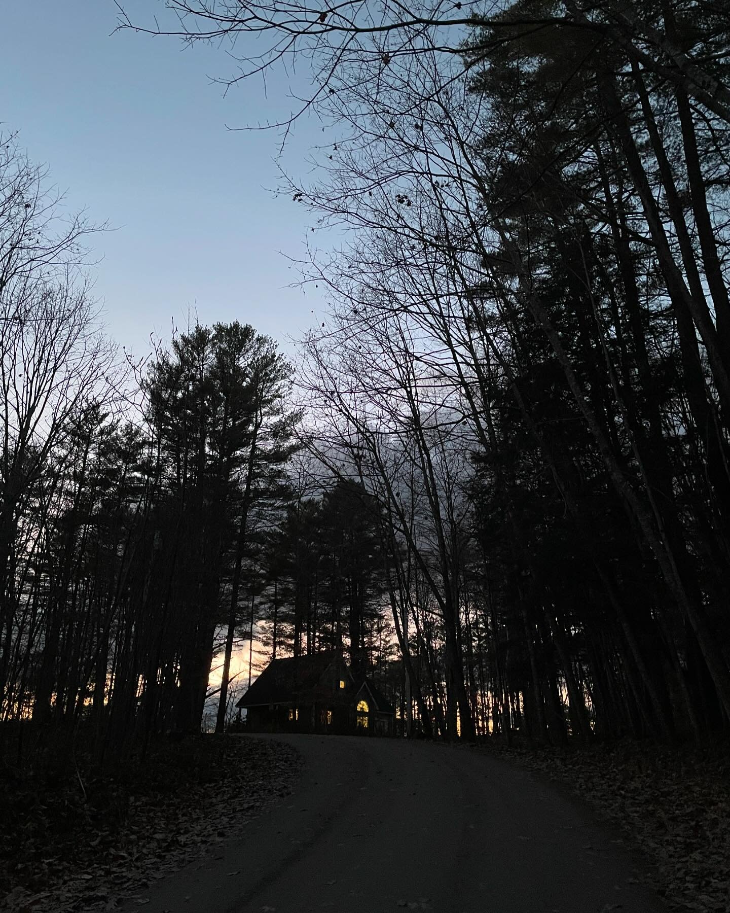 Teatime in the woods. The moon is up at 4:30 pm.