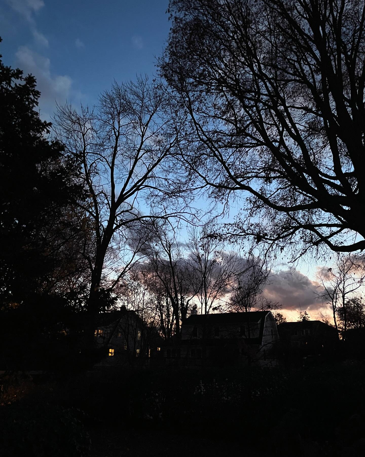 In my corner of the world, today is a day to be thankful. Not difficult on a beautiful evening like this. Wishing a joyful and peaceful day to all.