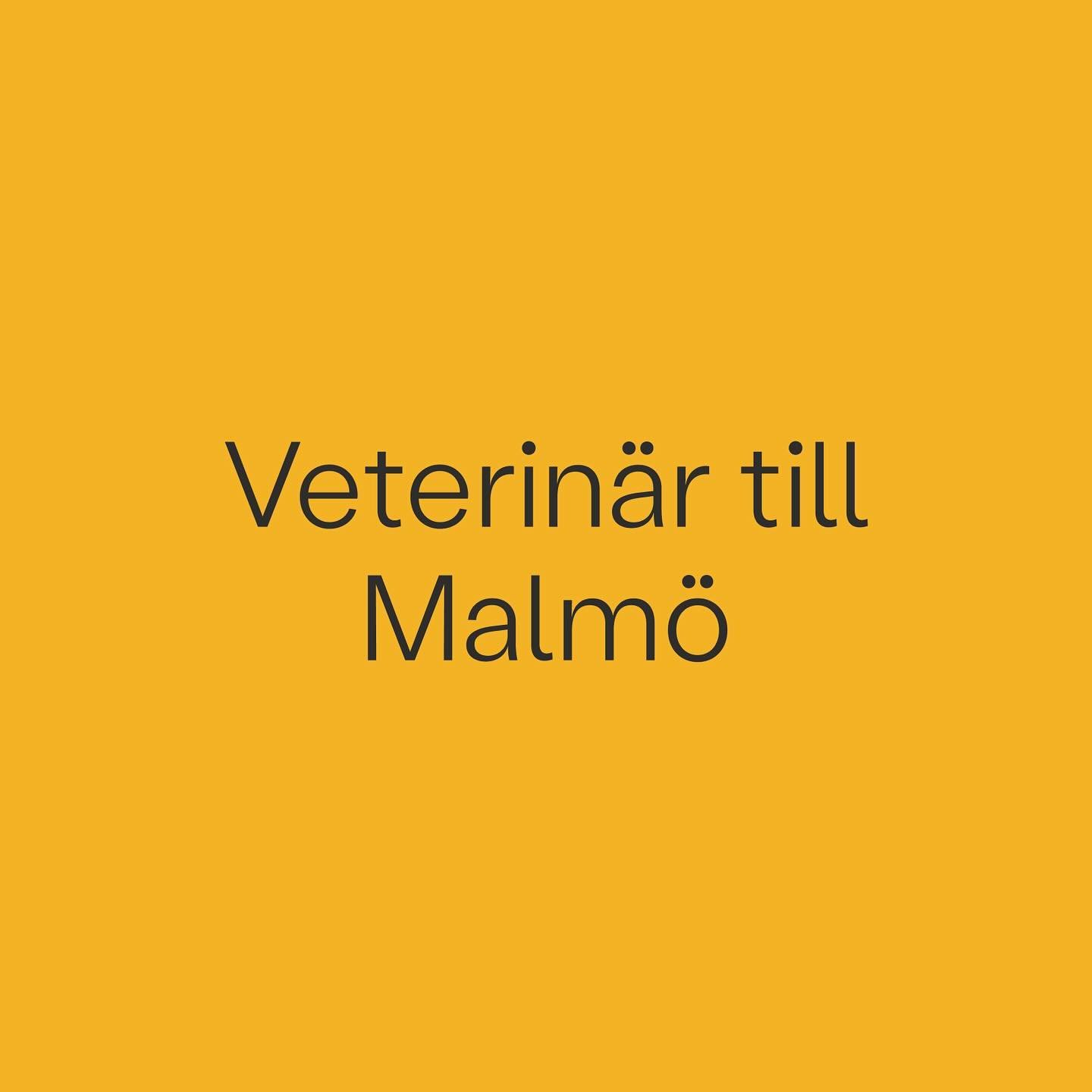 Kommande uppdrag: Till v&aring;r kund n&auml;ra Malm&ouml; s&ouml;ker vi nu en allm&auml;npraktiserande veterin&auml;r. 

Vi ser g&auml;rna att du &auml;r trygg i din roll och har jobbat n&aring;gra &aring;r p&aring; djursjukhus eller klinik. Arbetet