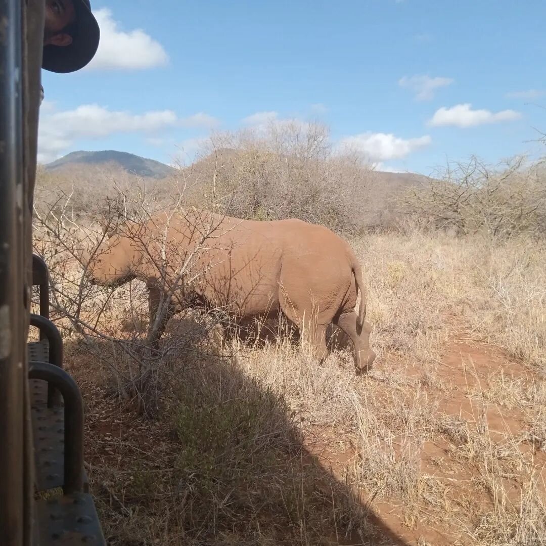 @mkomazi_national_park  guarantee to support black rhino
#safari #ave #adventure