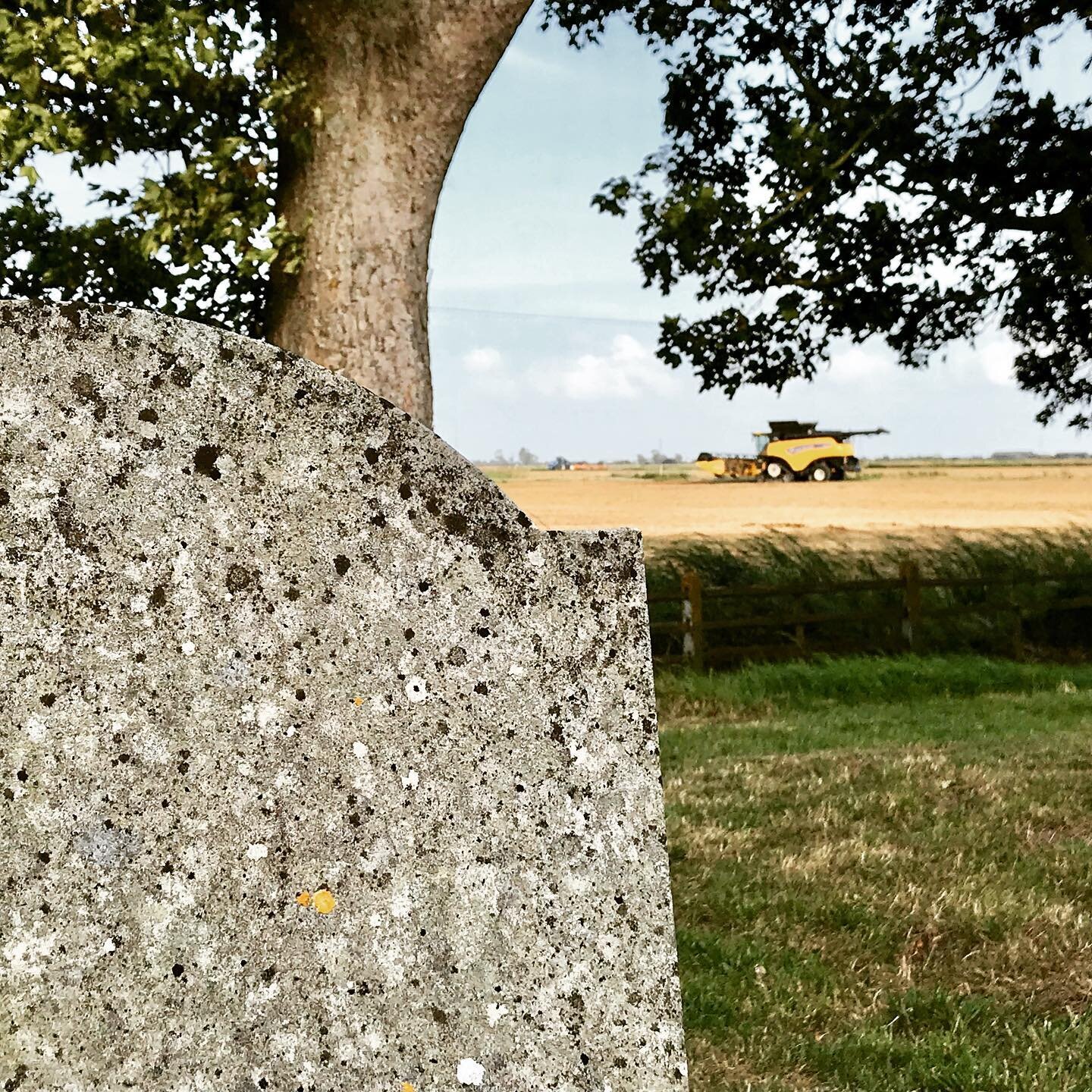 How fitting to pop to Snave church and the harvest to be in full swing by the churchyard. We are preparing in fact for our annual thanksgiving service at redundant Snave and it&rsquo;s a Harvest Festival 🌾 evensong. Please come along on September 8t