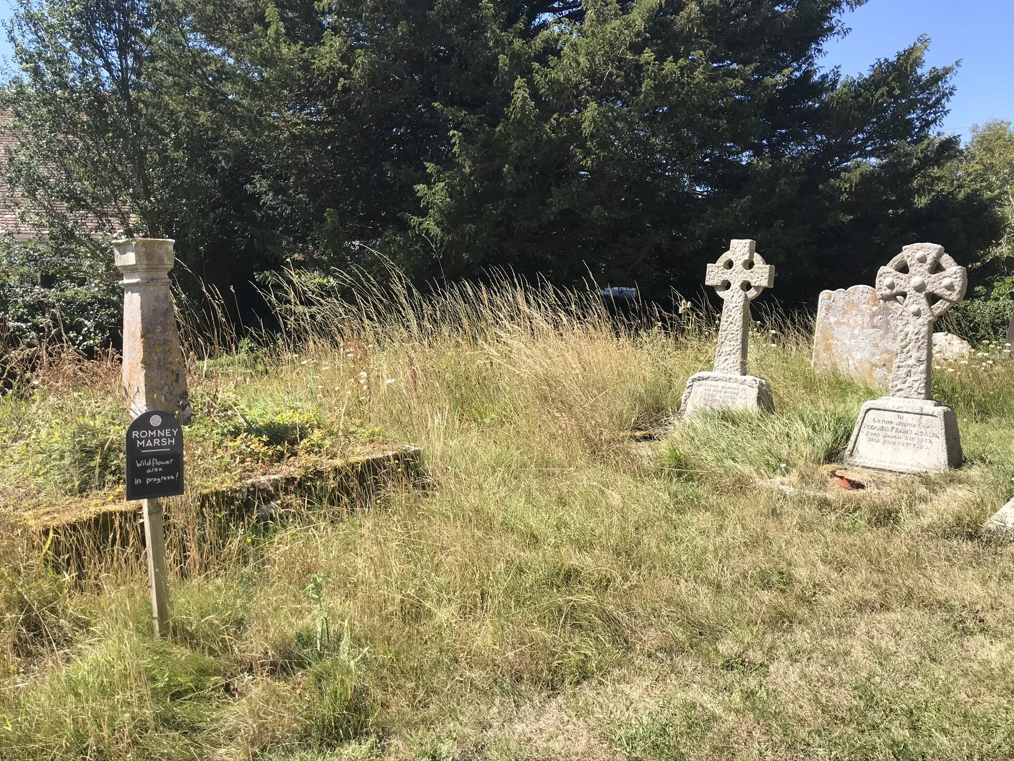 Wildflower planting at St. George's, Ivychurch