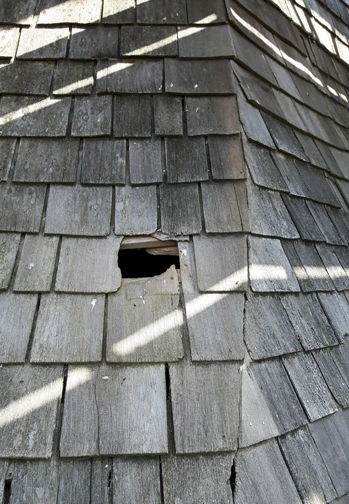 St Mary in the Marsh spire work - holes in the shingles.jpg