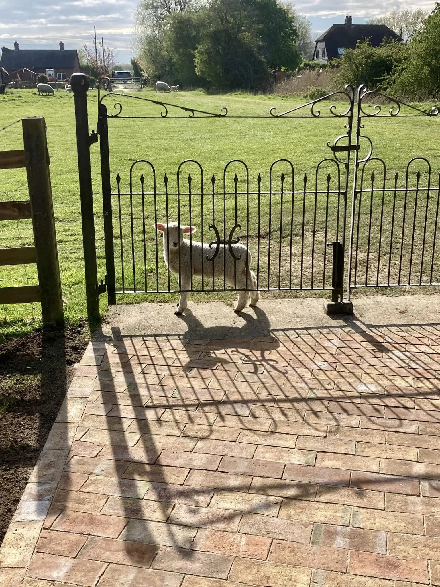 Locals admiring the new work!