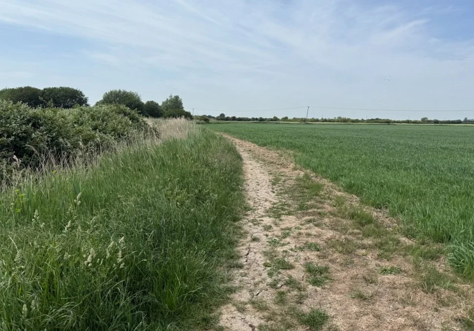 1. Path next to drainage ditch.jpg
