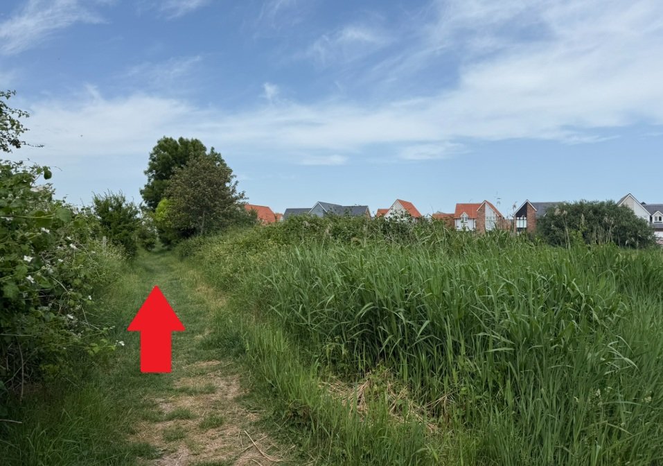 1. Path next to housing.jpg