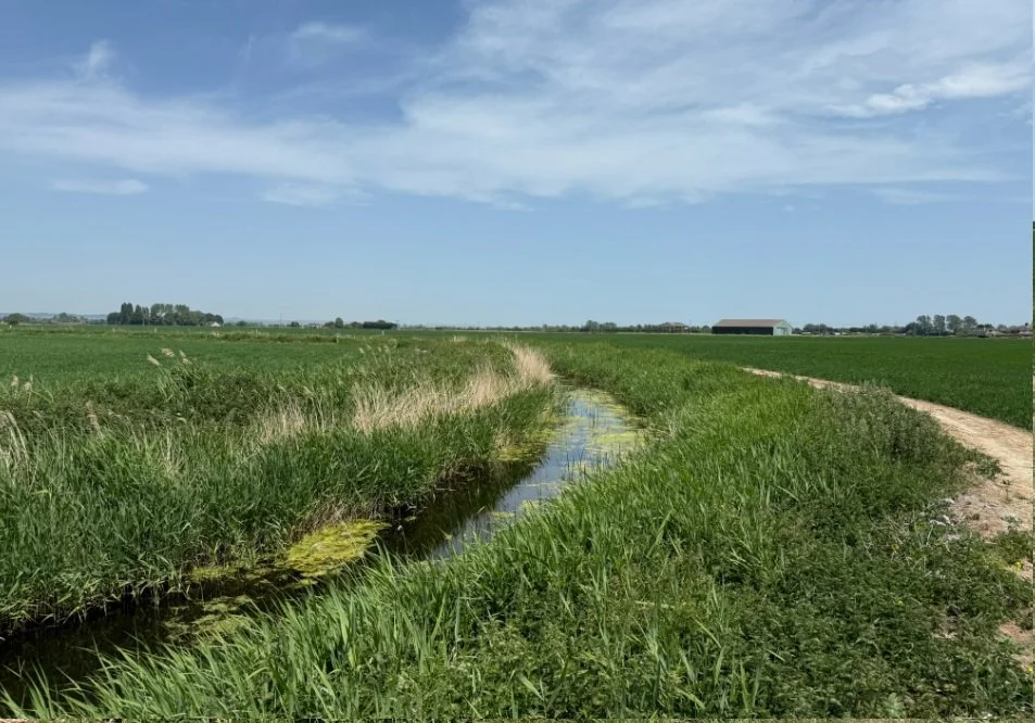 2. Continue along Wallingham Sewer.jpg