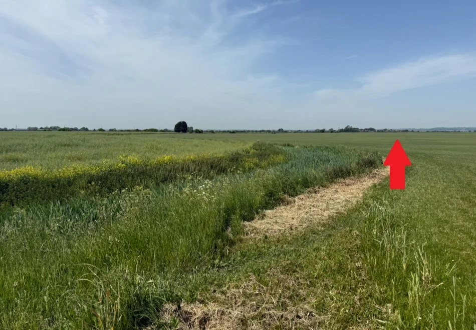 4. Cross the field.jpg