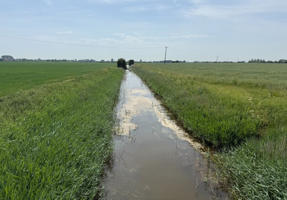 3. View from first footbridge.jpg