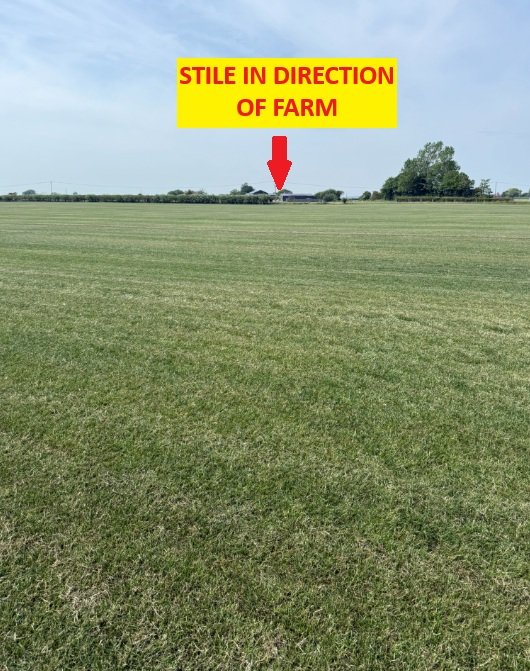 4. Cross field.jpg