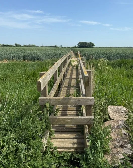 4. Second footbridge crossing.jpg