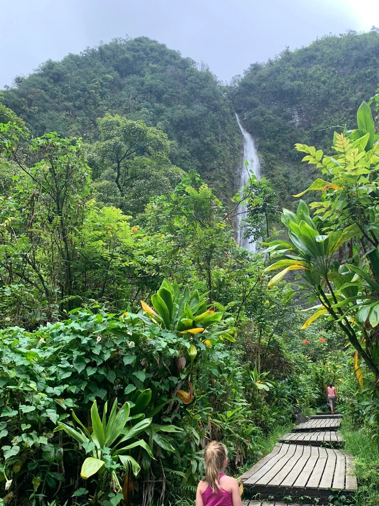 Waimoku Falls Maui Hawaii