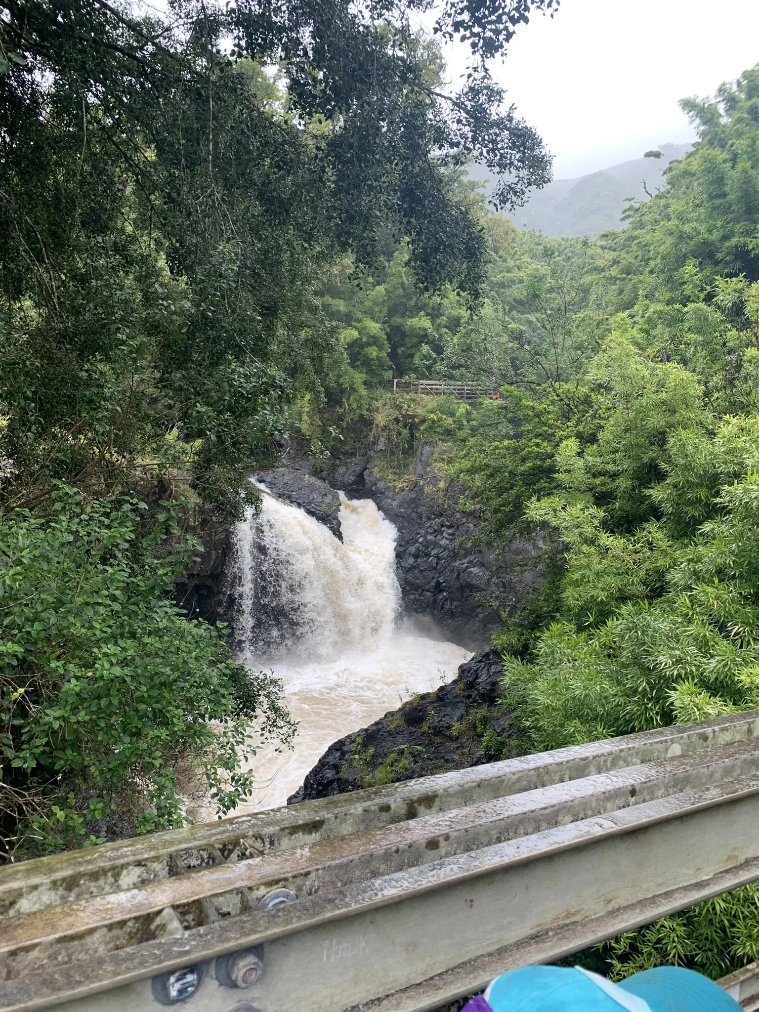 IMG_3578.jpeg