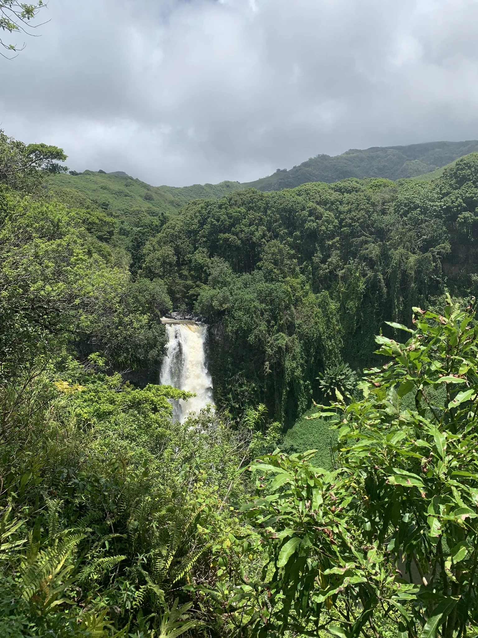 Makahiku Falls along the Pipiwai Trail Maui Hawaii