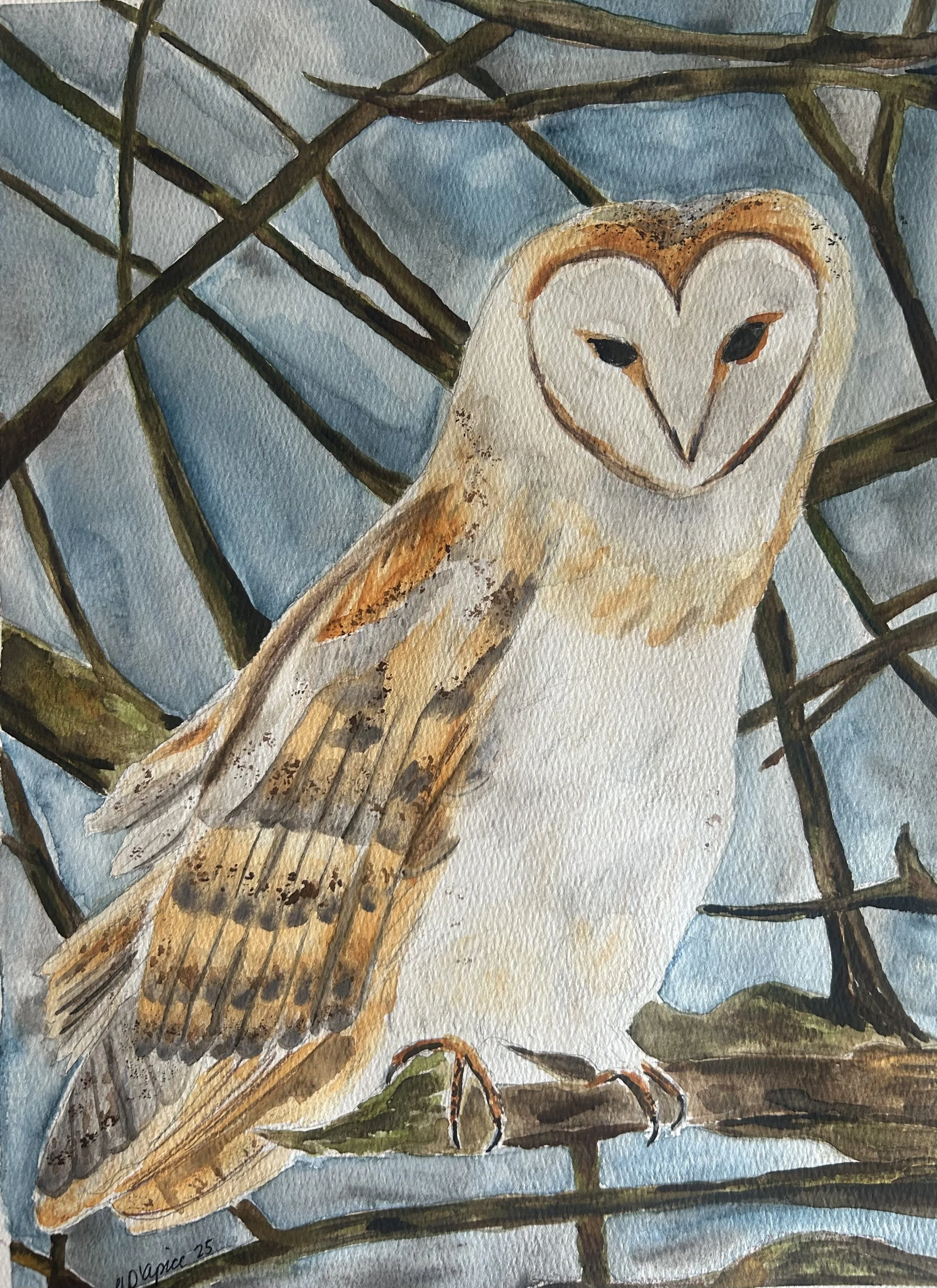 Heather Dapice - "Peaceful Stillness"