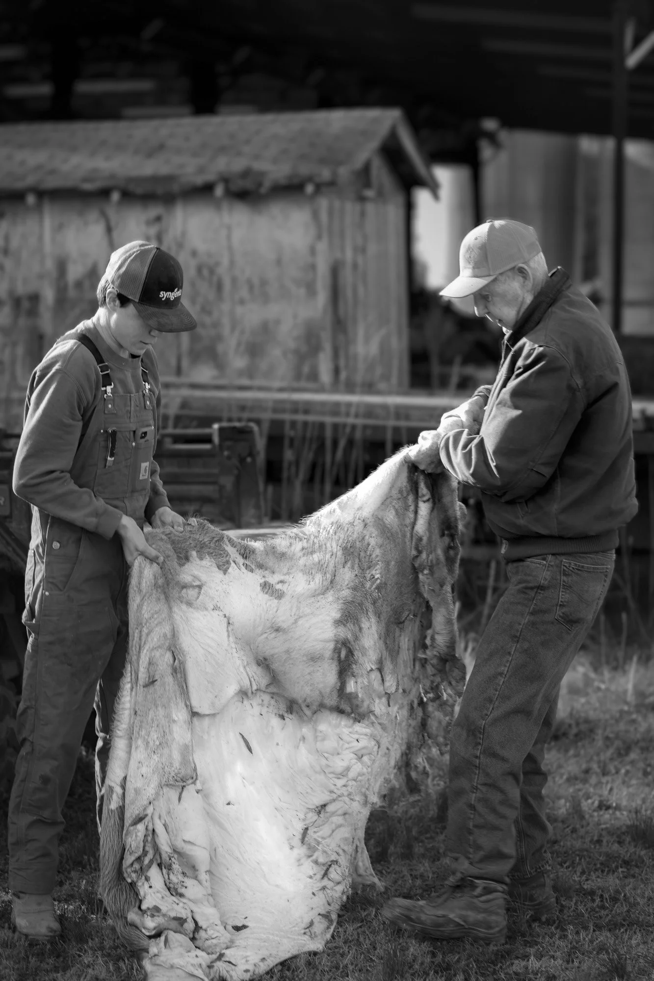 Traci Johnson Arney - Hide