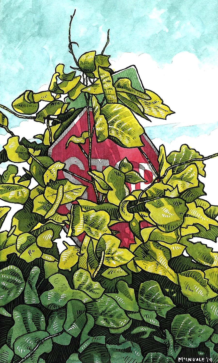 James McInvale - Kudzu