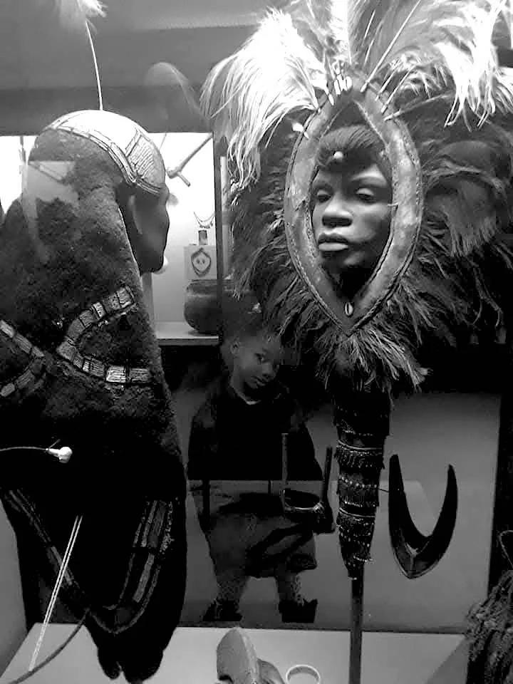 Cy- - natural history