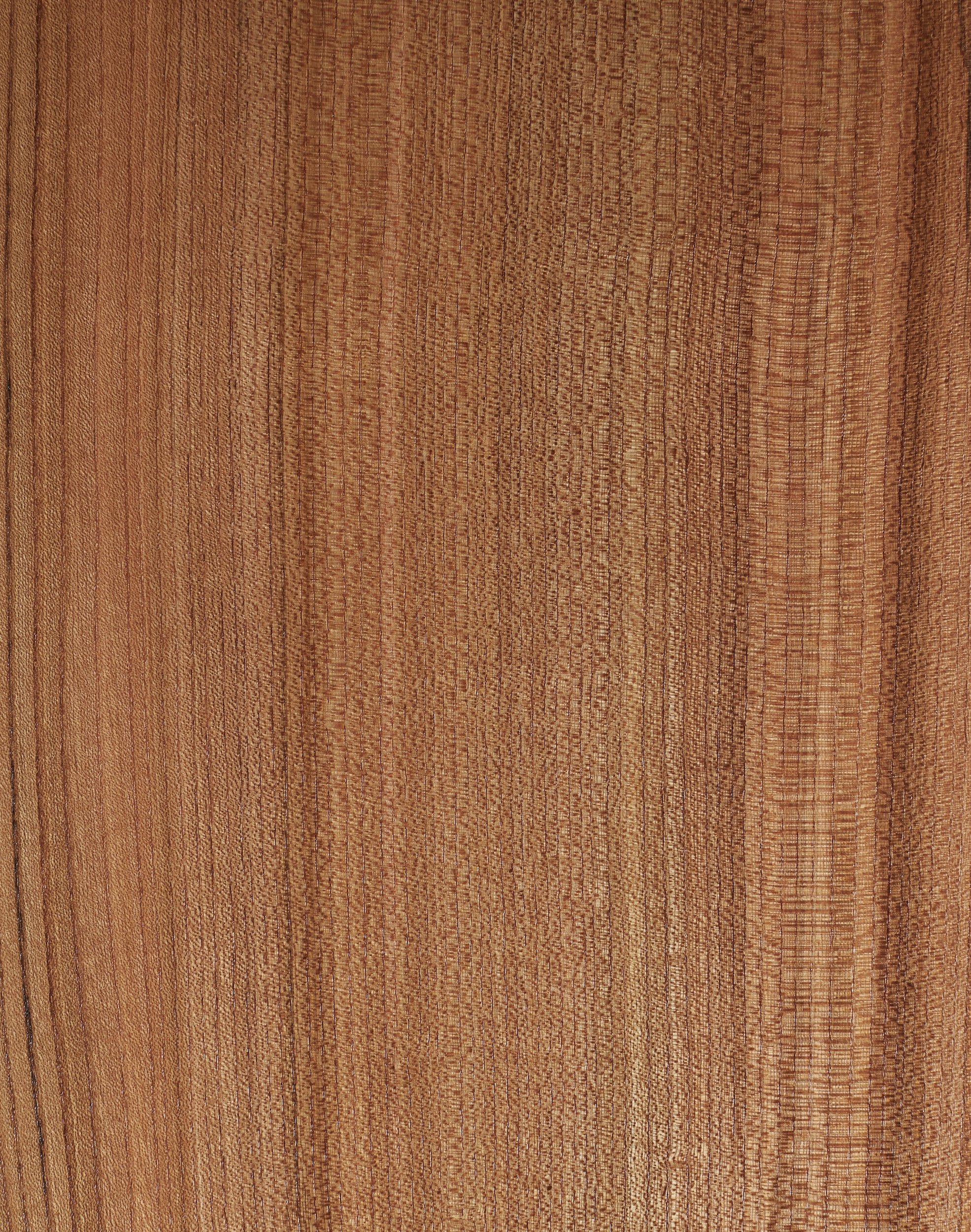 knotdesign-truman-elm-timbersample.jpg