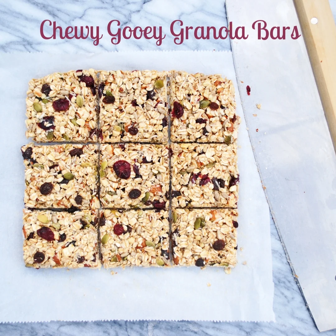 Chewy Gooey Granola Bars