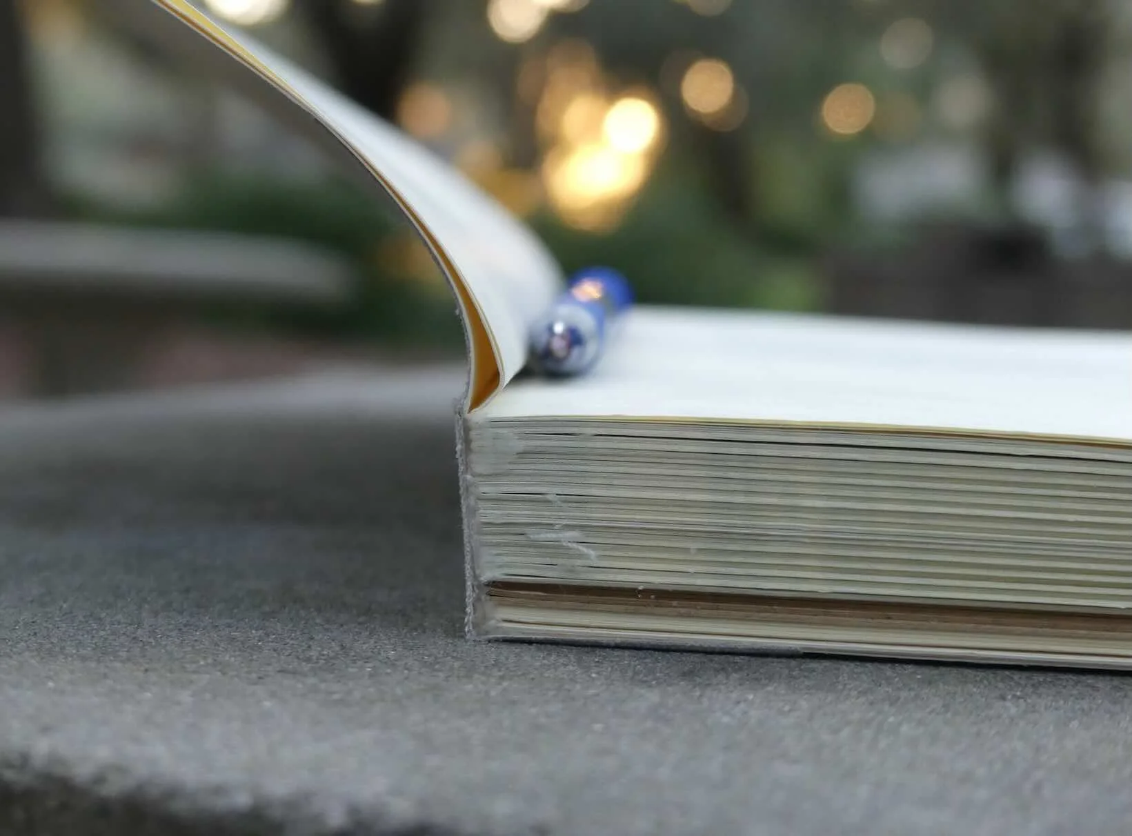 Wilderness and Wonder