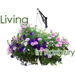 Roxbury Town Board Approved Meeting Minutes - April 10, 2017