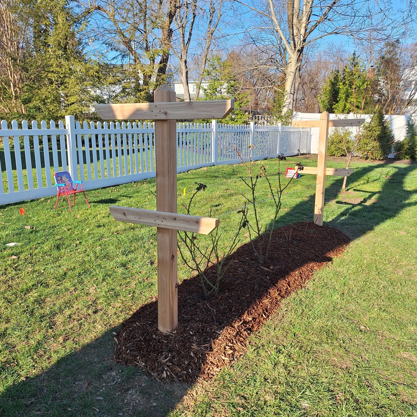From two weeks ago... 

Blackberries, raspberries, and a cedar trellis to hold them up as they grow!
