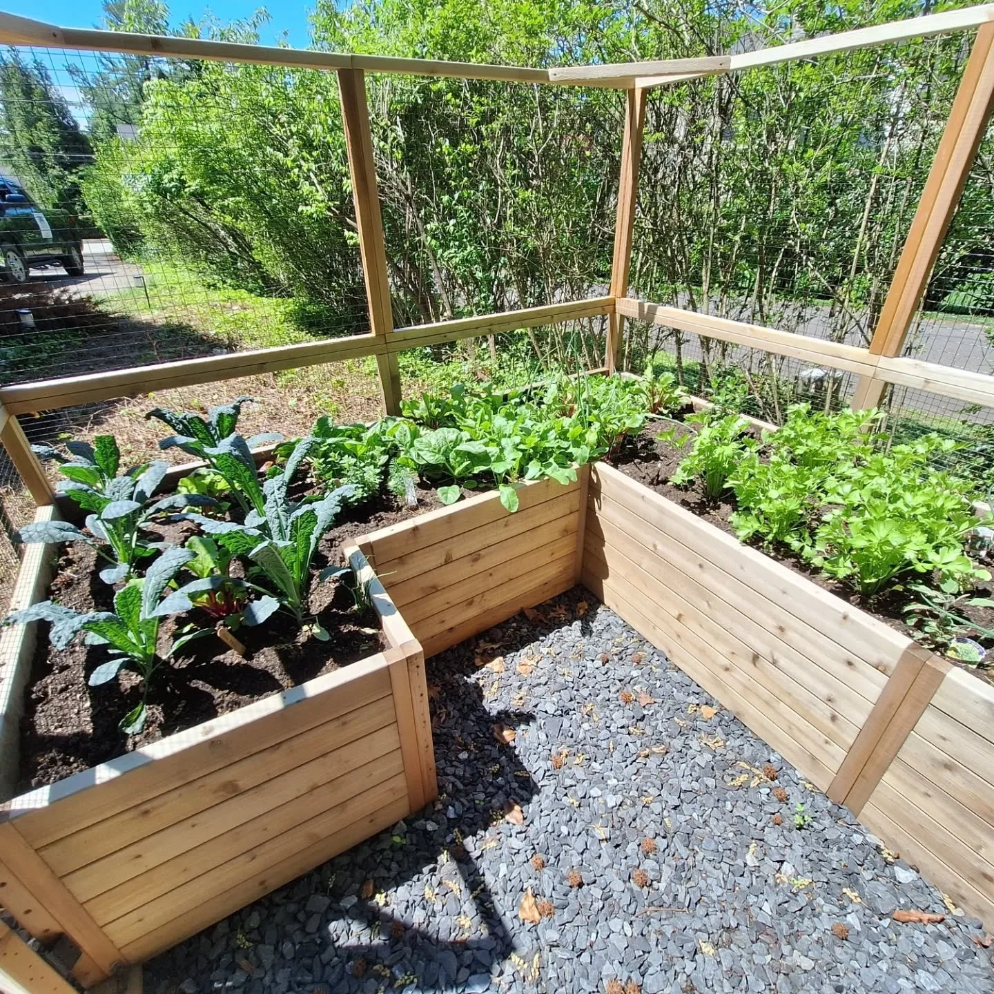 We feel tremendous satisfaction when a garden we built is planted out, thriving, and enjoyed by our clients. It's really the best. It's why we do it. Reach out now for vegetable garden builds. The heat is coming, and so are tomatoes, peppers, zucchin