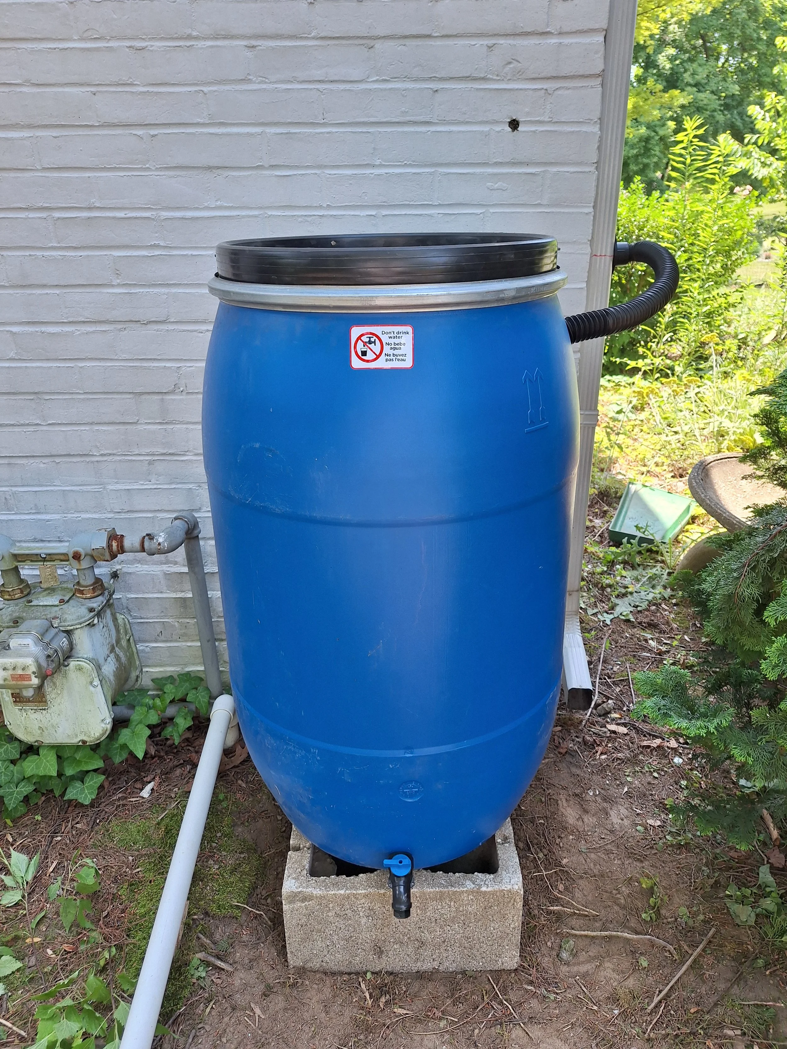 Catching the Rain — How to Harvest Rainwater for Your Garden