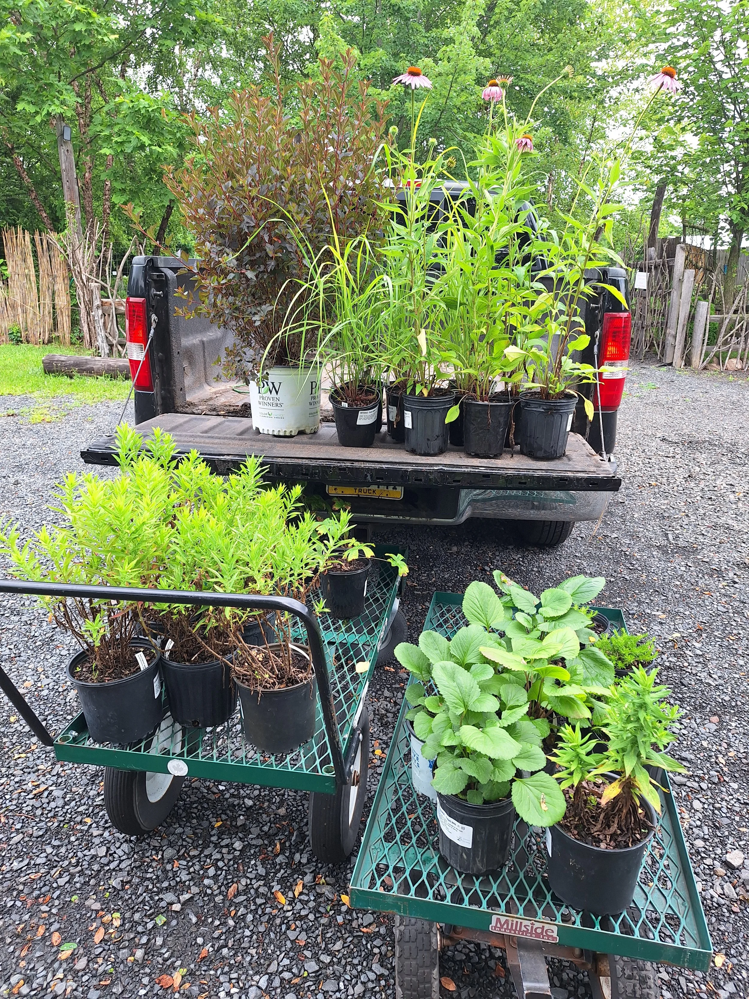 Fall Is a Great Time to Start a Garden — Here's Why