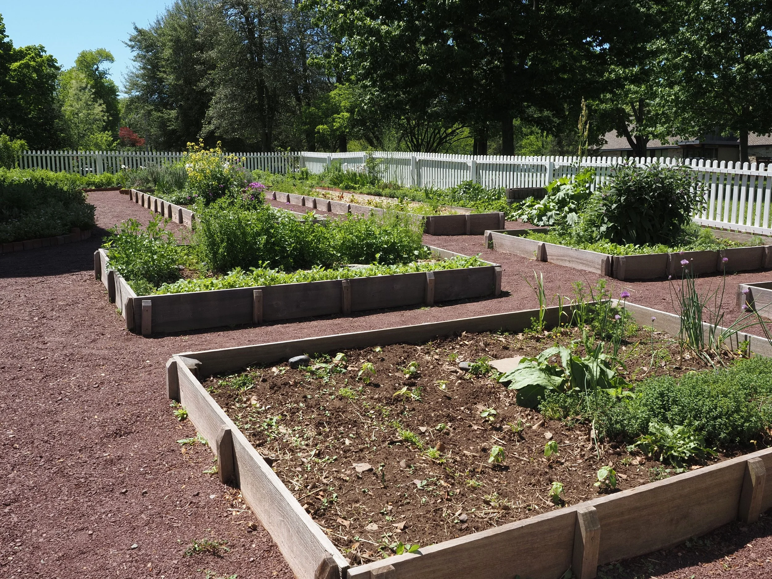 It's Not Too Late to Plant — What to Grow Right Now