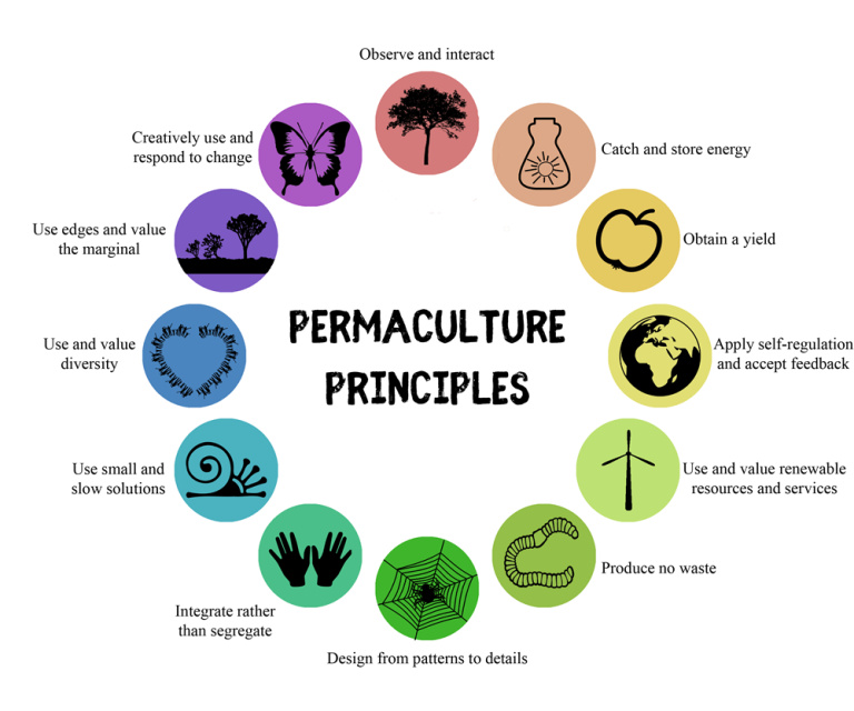 Permaculture: a brief introduction