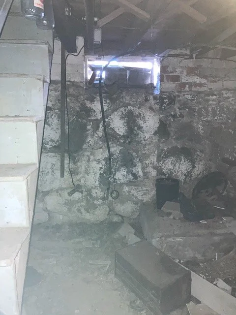 basement_wall_mold.jpeg