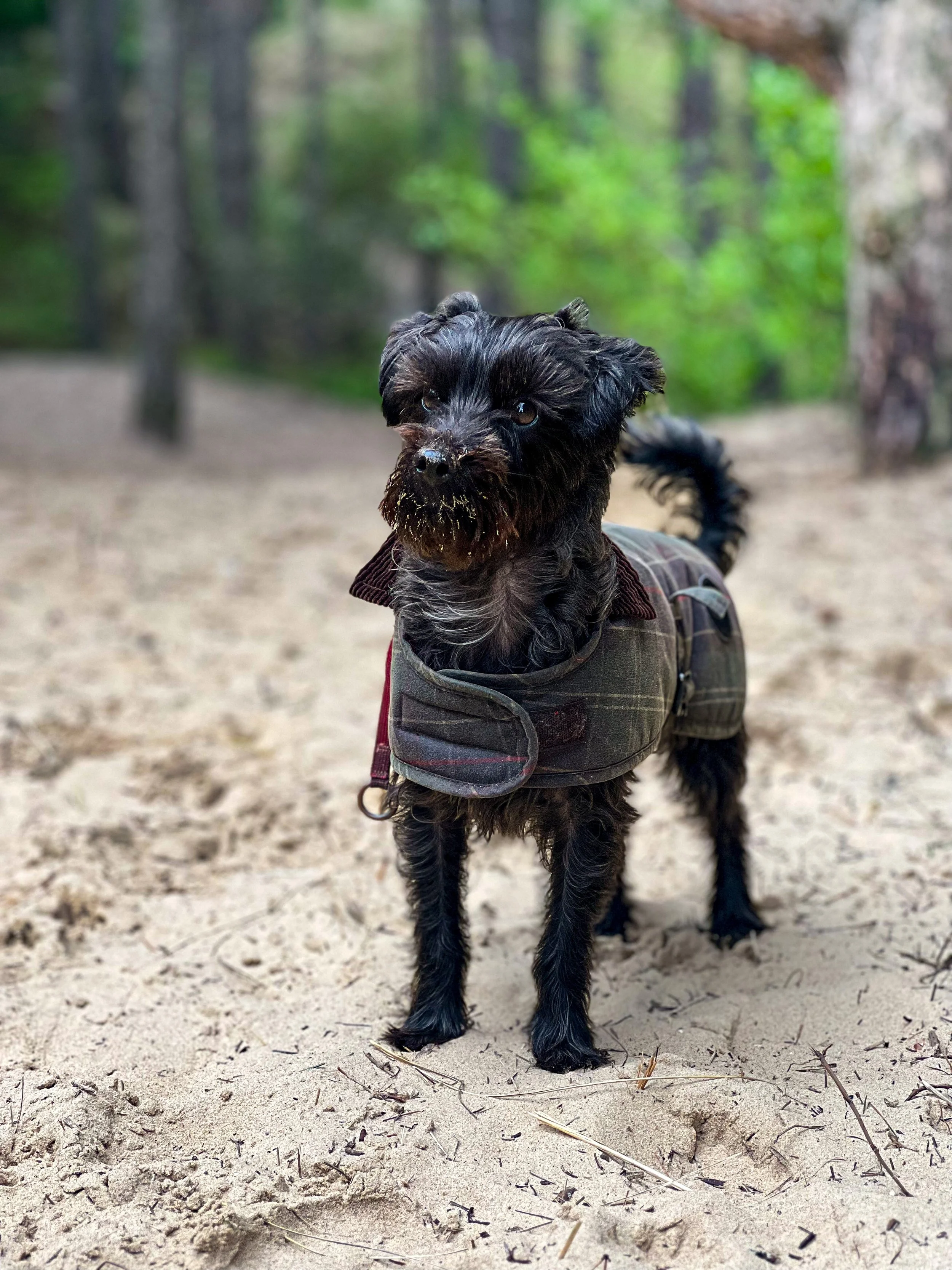 Miriam - M Co Creation - about me.JPG