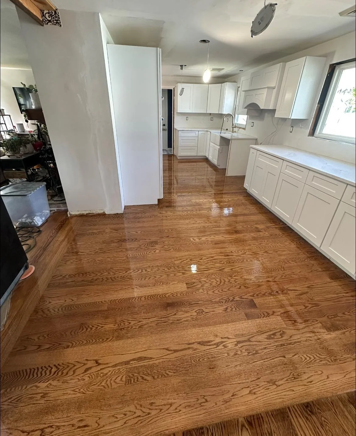 495322025_10165145492574465_9169482569715198085_n.jpg (Copy) (Copy)