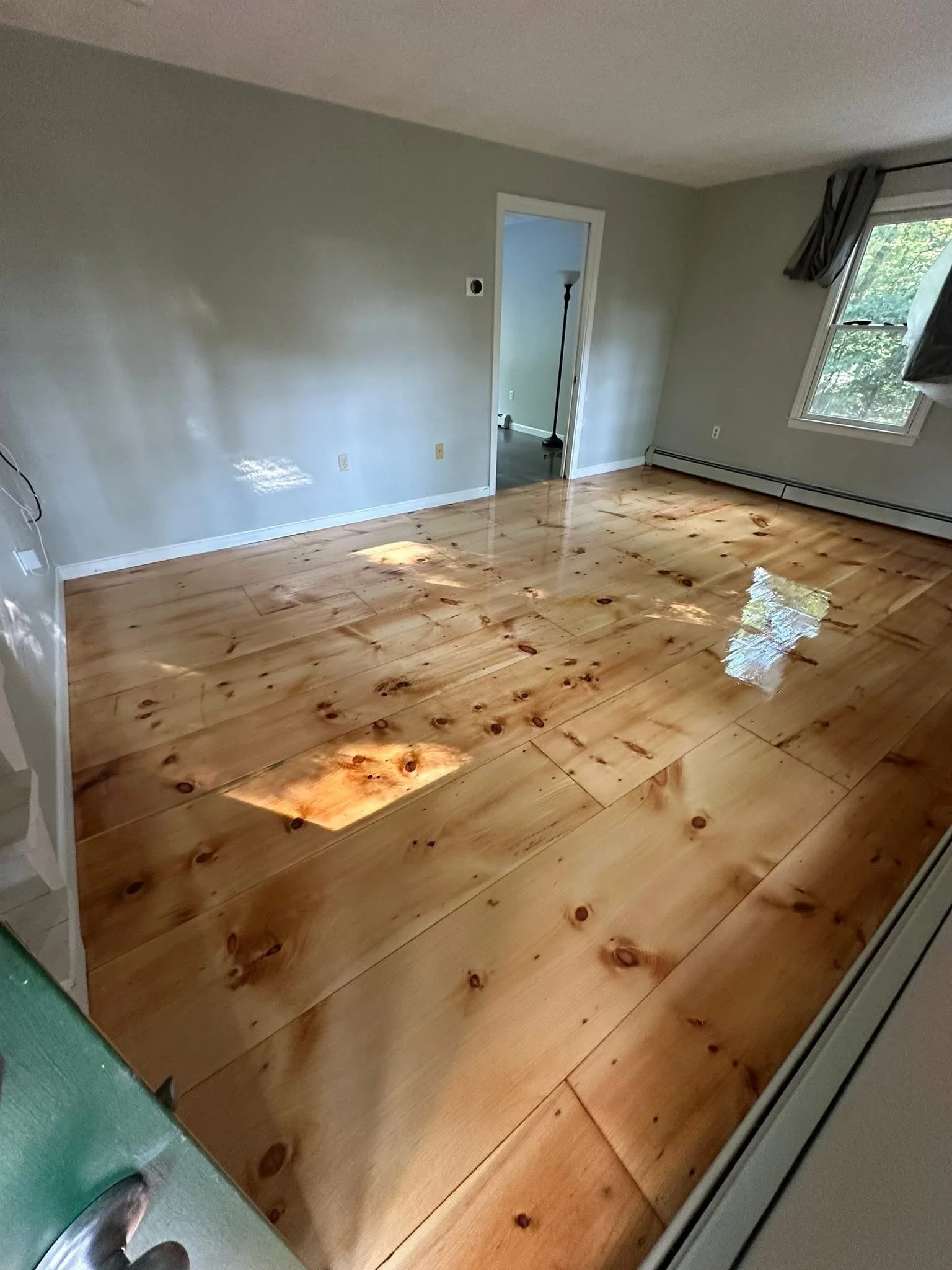 Empty room with new polished wooden floor, gray walls, a window with curtains, and an open doorway leading to another room.