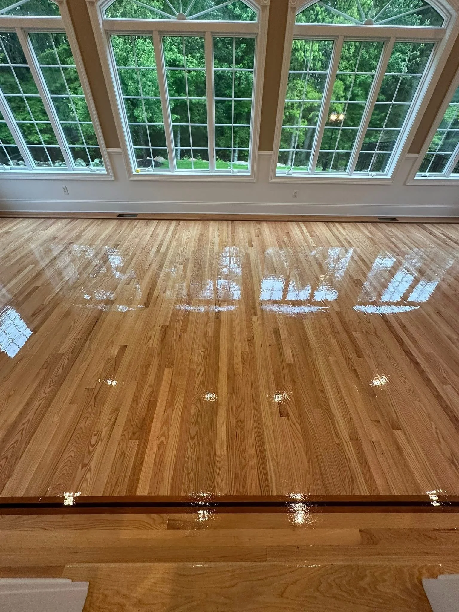 Polished hardwood floor in front of large windows with green trees outside.