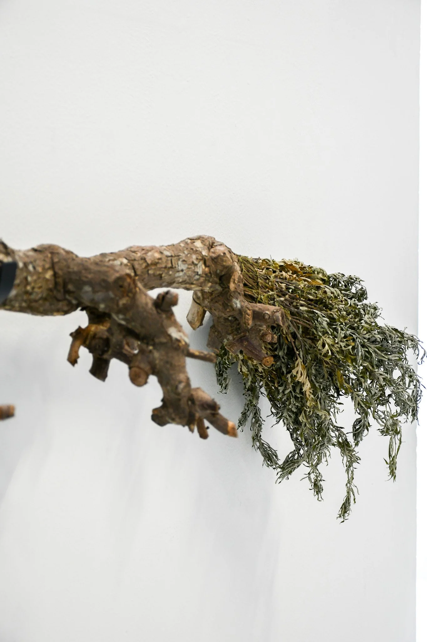 Peeing in the Garden (2025)