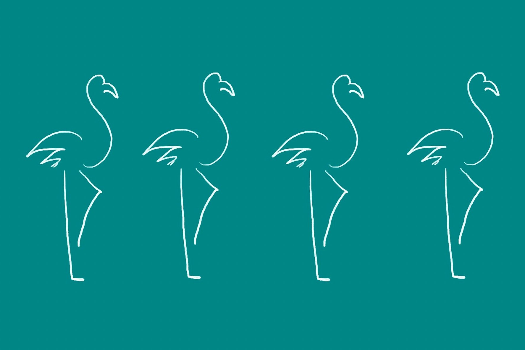 flamingo+lines_web.jpg