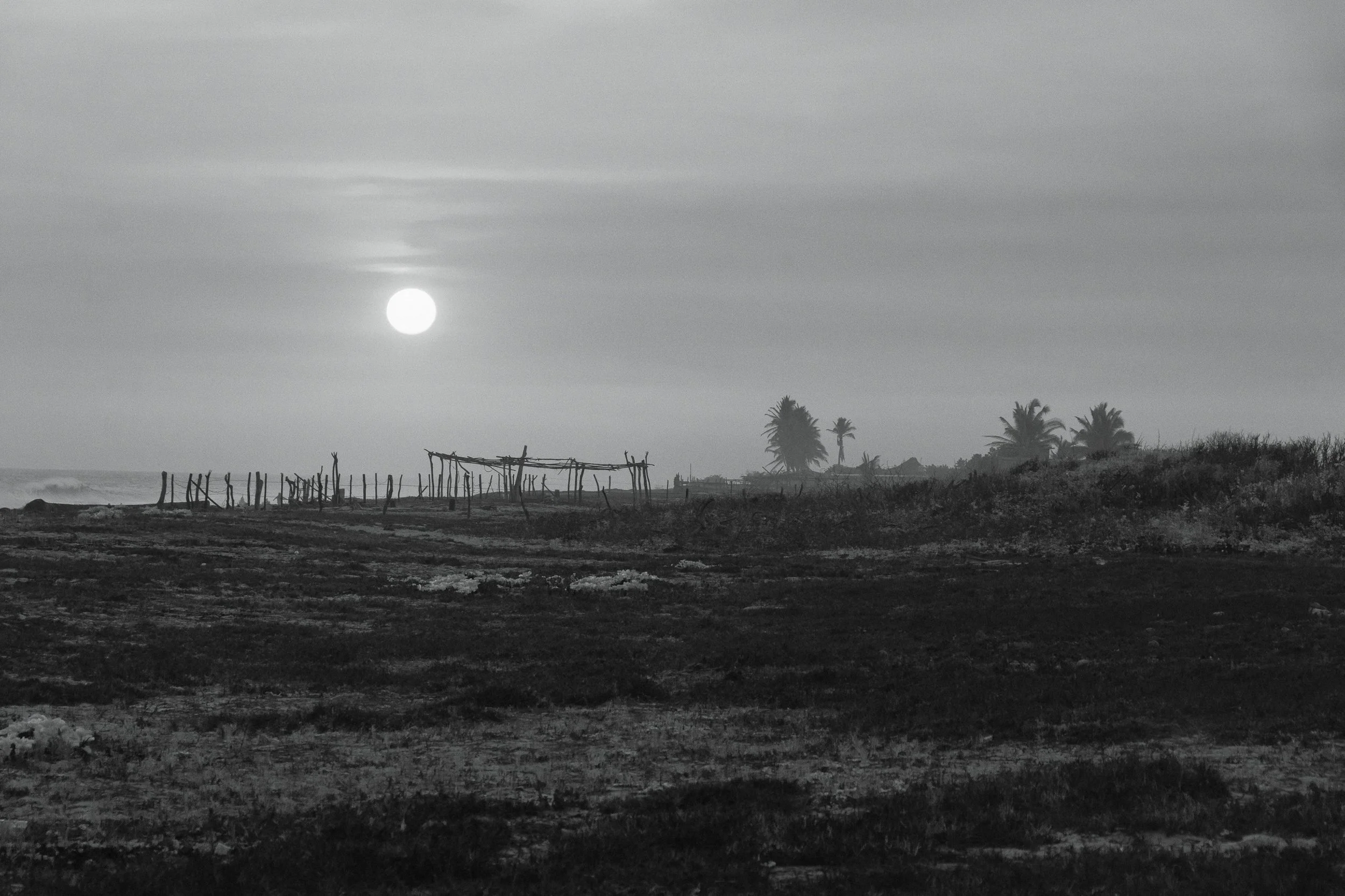 CarrisalSunset-2.jpg