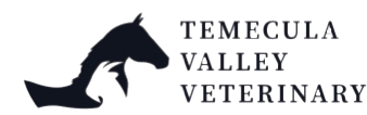 Temecula Valley Veterinary