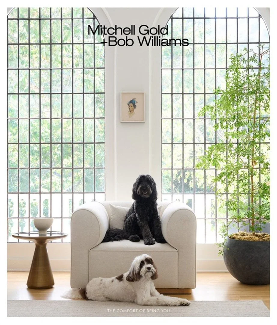Brigette-Romanek-Mitchell-Gold-Bob-Williams-cover_1080H.jpg