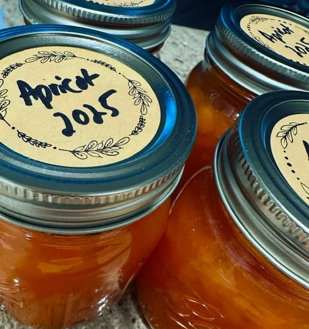 Feedback Jam Session