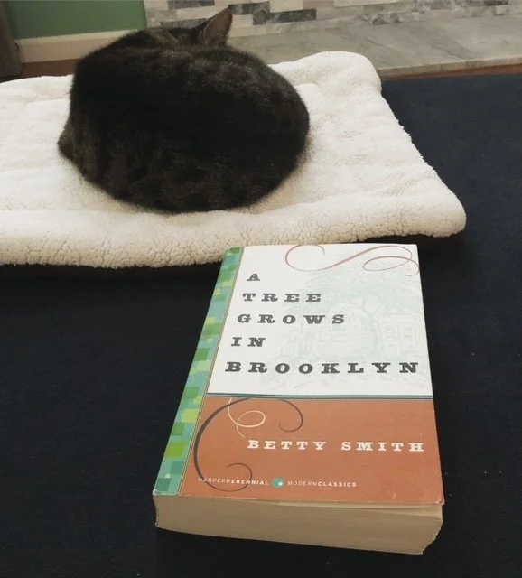 Favorite Books Continued