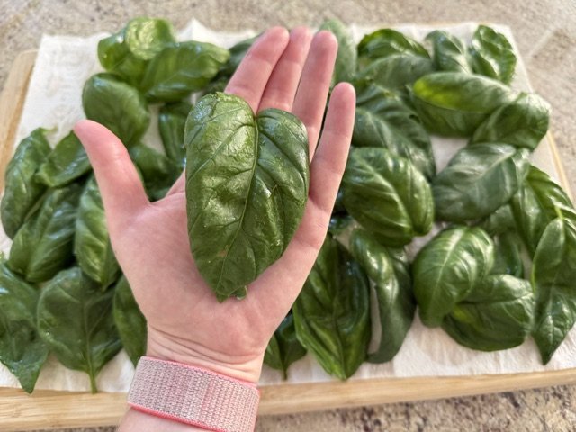 Besto Pesto