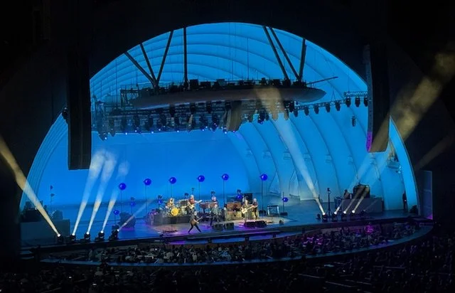 One More Night in Hollywood