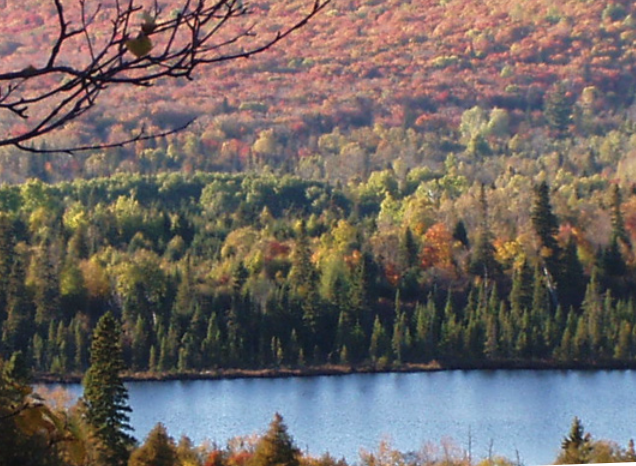 University of MN Awarded HRSA Grant for Rural Communities Opioid Response in Grand Portage and Cook County