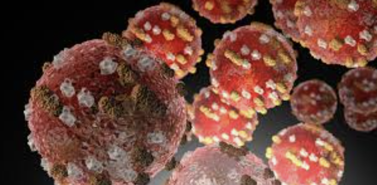 36 Cases of Measles in Minnesota Since May