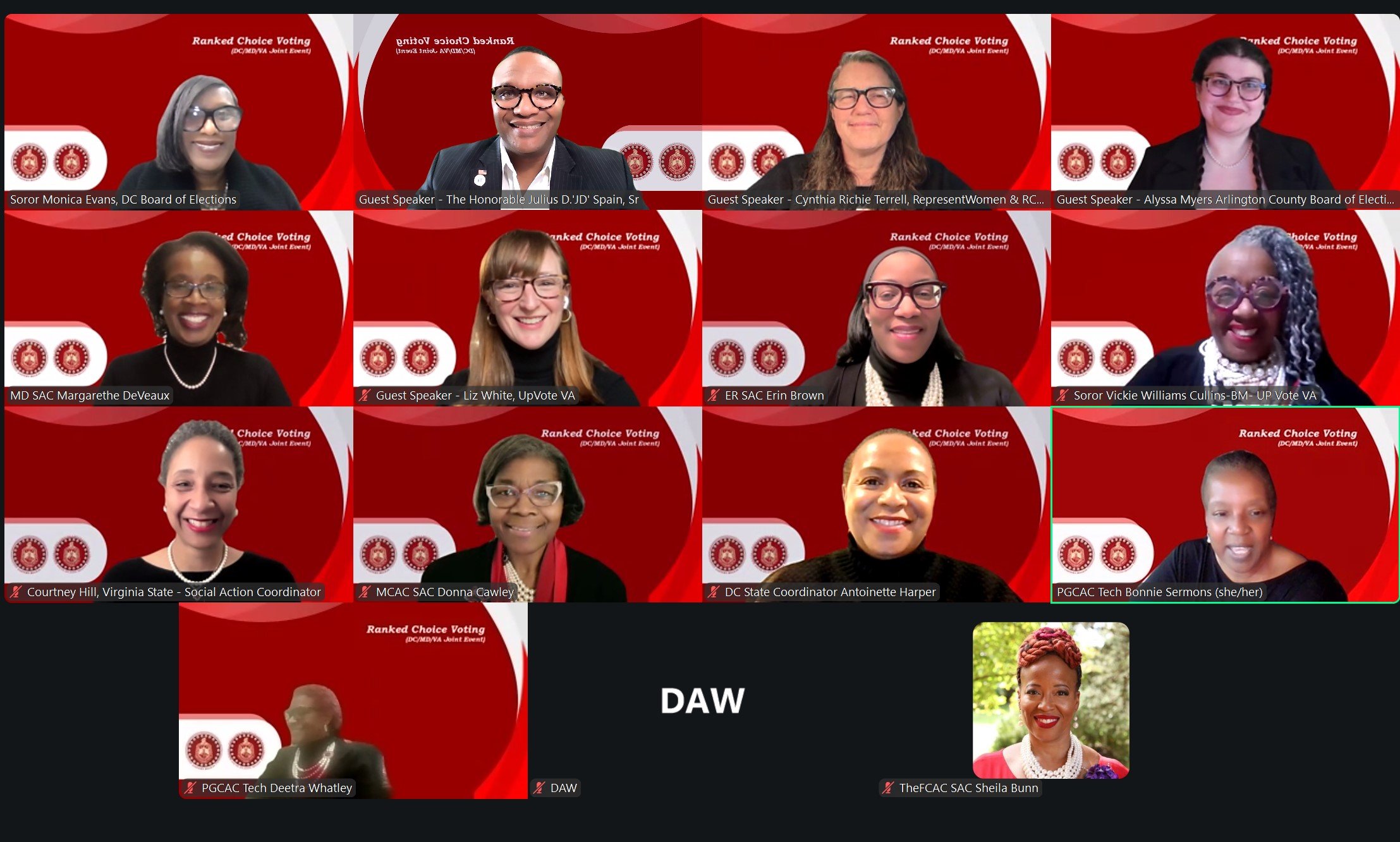 VIDEO: Delta sigma theta webinar on Ranked Choice Voting (RCV)
