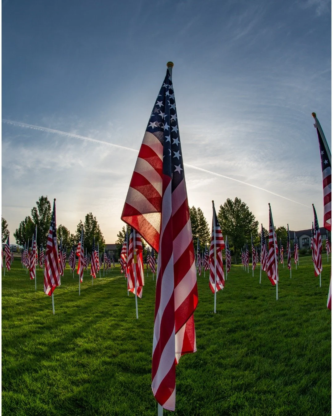 We stand together today to honor the memory of the brave men and women who laid down their lives for our country. Their dedication inspires us, and their legacy lives on in the liberties we enjoy daily.

From UpVote VA, we wish you a safe and peacefu